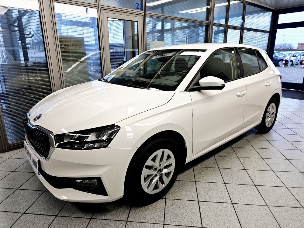 Skoda Fabia Selection für nur 18.650,- € bei Hoffmann Automobile in Wolfsburg kaufen und sofort mitnehmen