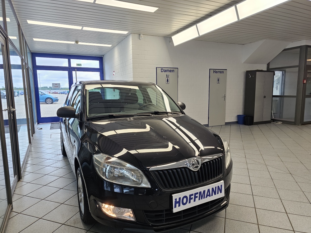 Skoda Fabia  bei Hoffmann Automobile in Wolfsburg kaufen und sofort mitnehmen - Bild 16