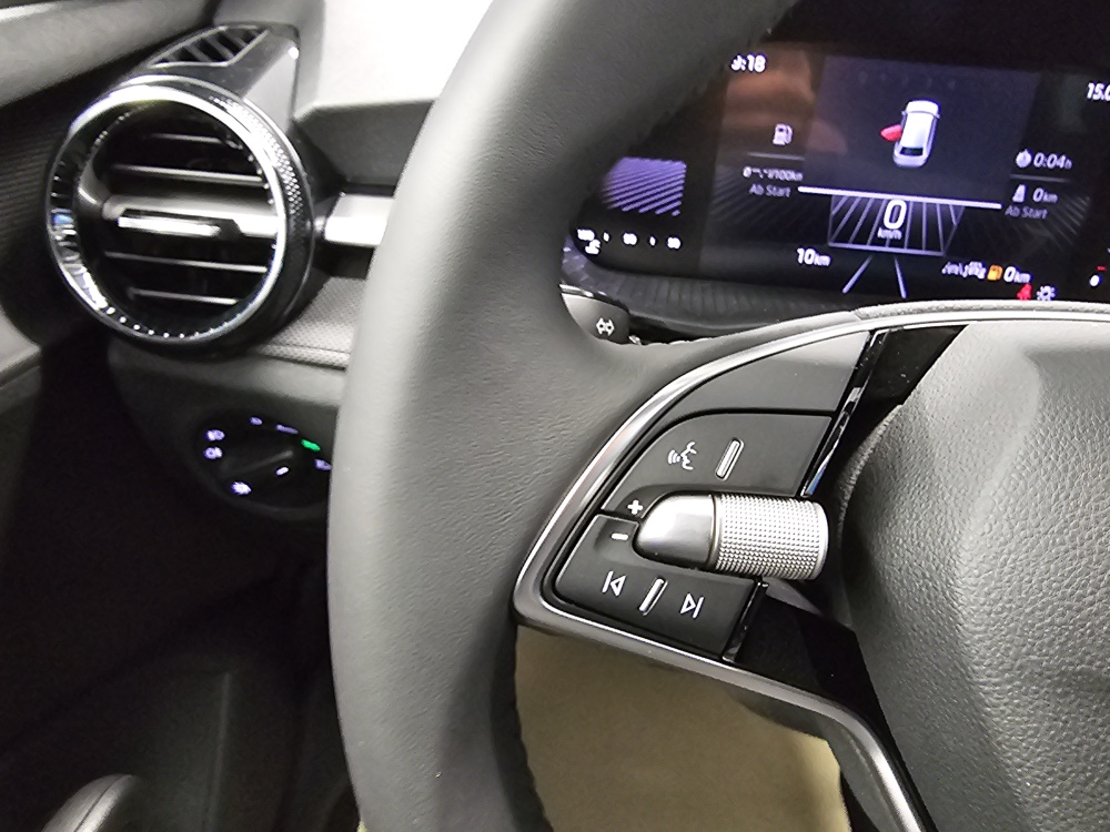 Skoda Fabia  bei Hoffmann Automobile in Wolfsburg kaufen und sofort mitnehmen - Bild 16