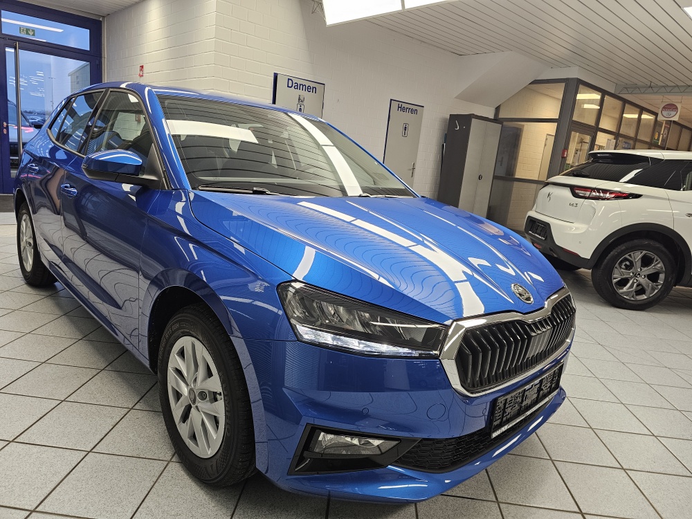 Skoda Fabia  bei Hoffmann Automobile in Wolfsburg kaufen und sofort mitnehmen - Bild 25