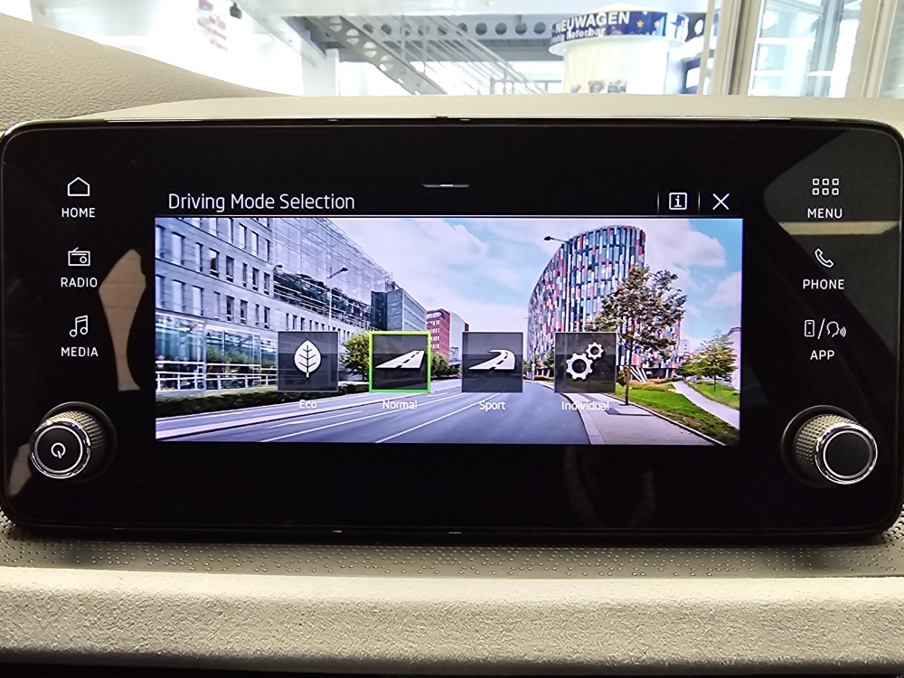 Skoda Scala  bei Hoffmann Automobile in Wolfsburg kaufen und sofort mitnehmen - Bild 18