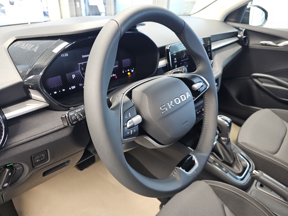 Skoda Fabia  bei Hoffmann Automobile in Wolfsburg kaufen und sofort mitnehmen - Bild 16