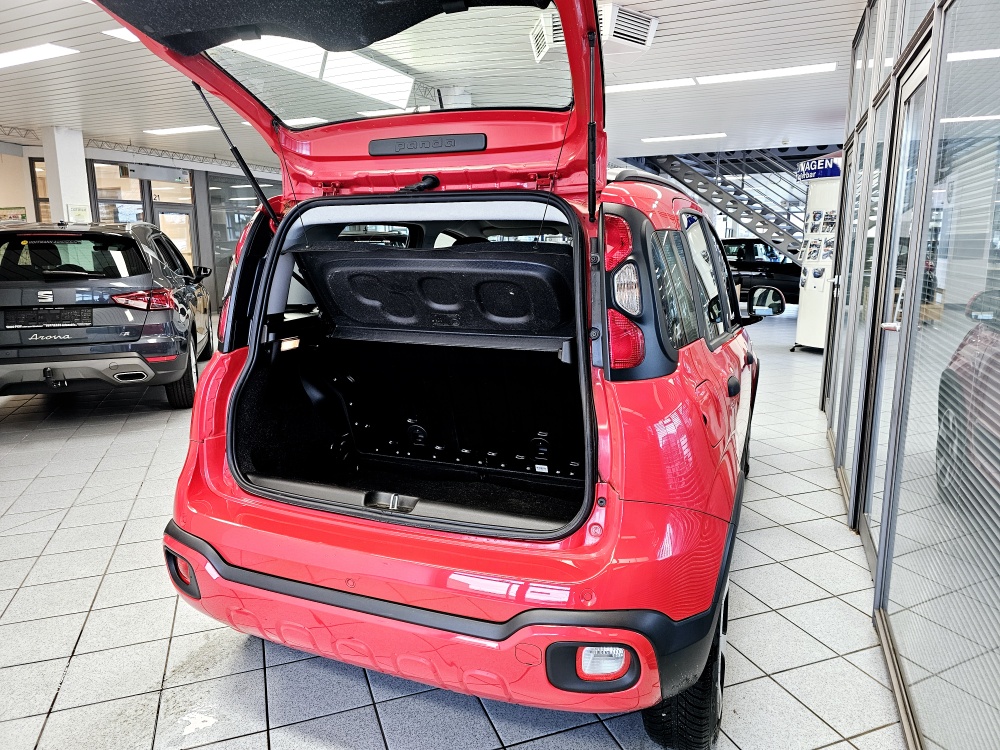 Fiat Panda  bei Hoffmann Automobile in Wolfsburg kaufen und sofort mitnehmen - Bild 2