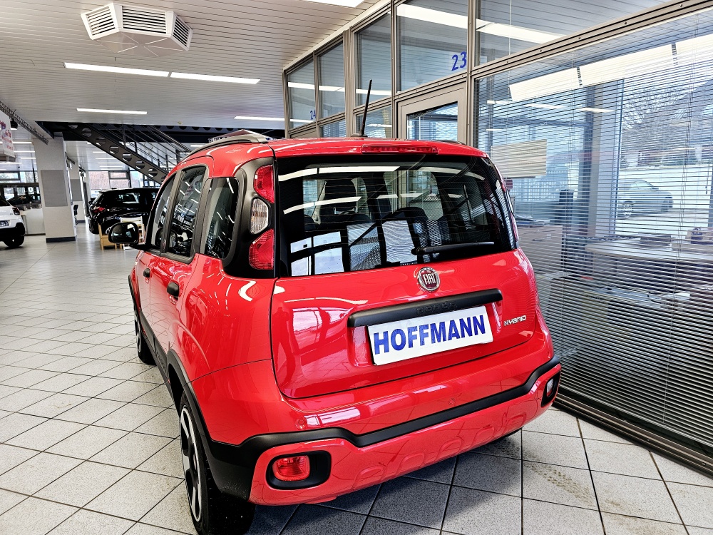 Fiat Panda  bei Hoffmann Automobile in Wolfsburg kaufen und sofort mitnehmen - Bild 4