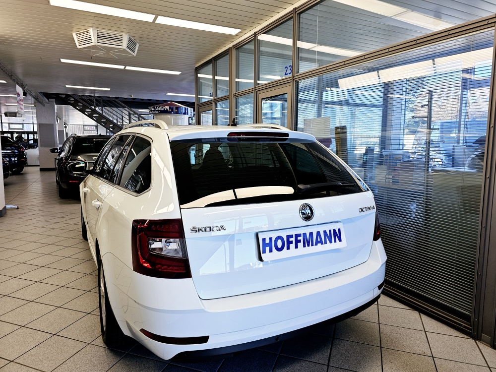 Skoda Octavia Combi  bei Hoffmann Automobile in Wolfsburg kaufen und sofort mitnehmen - Bild 4
