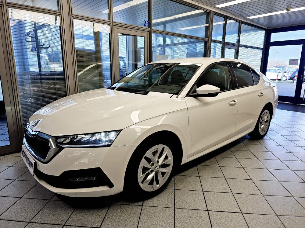Skoda Octavia  bei Hoffmann Automobile in Wolfsburg kaufen und sofort mitnehmen - Bild 1