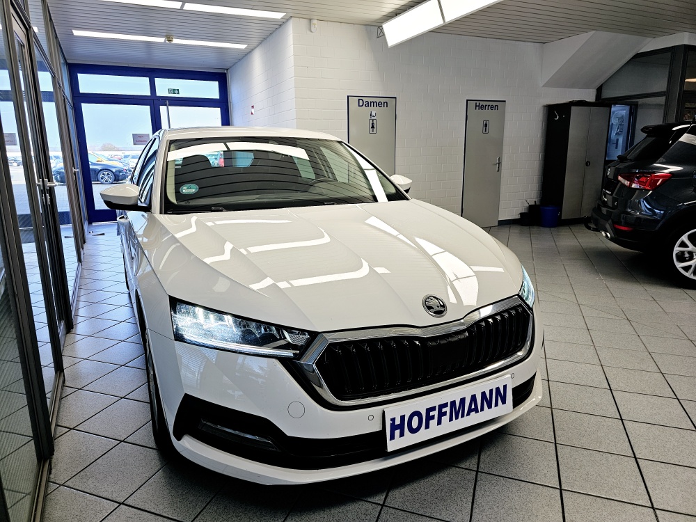 Skoda Octavia  bei Hoffmann Automobile in Wolfsburg kaufen und sofort mitnehmen - Bild 19
