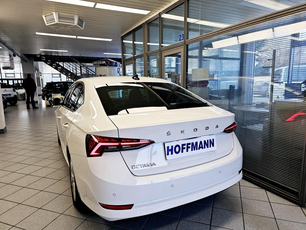 Skoda Octavia  bei Hoffmann Automobile in Wolfsburg kaufen und sofort mitnehmen - Bild 3
