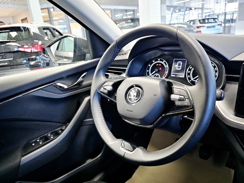 Skoda Scala  bei Hoffmann Automobile in Wolfsburg kaufen und sofort mitnehmen - Bild 12