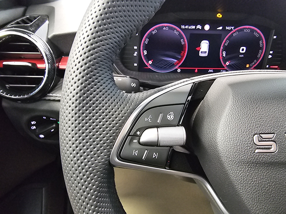 Skoda Fabia bei Hoffmann Automobile in Wolfsburg kaufen und sofort mitnehmen - Bild 19