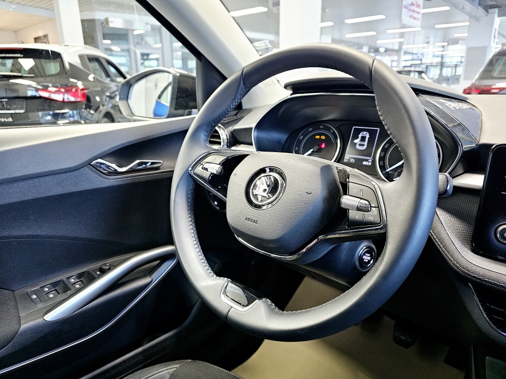Skoda Fabia  bei Hoffmann Automobile in Wolfsburg kaufen und sofort mitnehmen - Bild 12