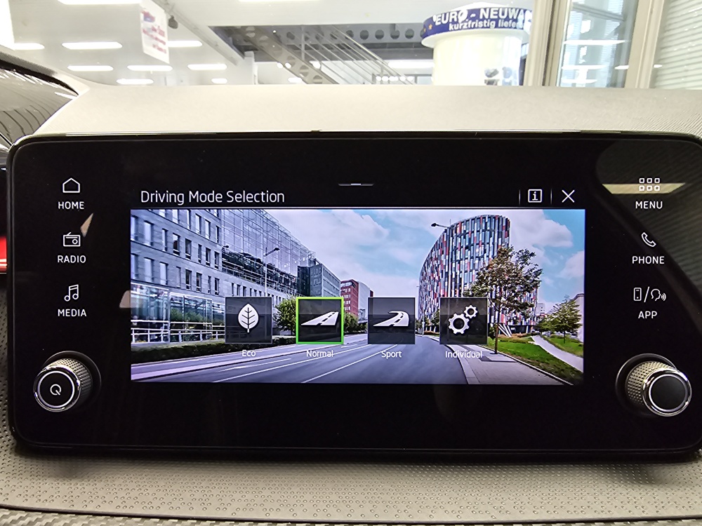 Skoda Fabia  bei Hoffmann Automobile in Wolfsburg kaufen und sofort mitnehmen - Bild 17