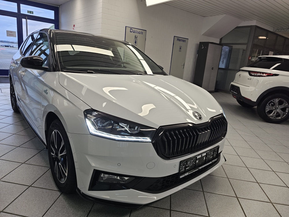 Skoda Fabia  bei Hoffmann Automobile in Wolfsburg kaufen und sofort mitnehmen - Bild 29