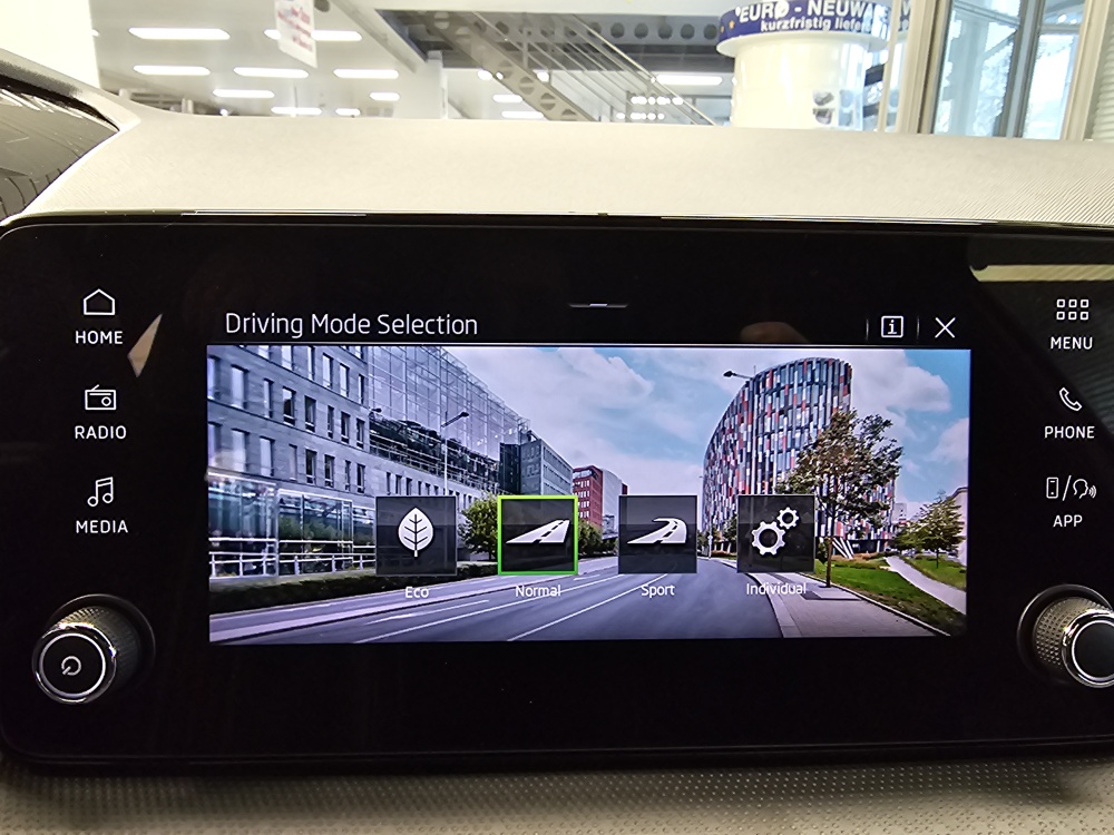 Skoda Fabia  bei Hoffmann Automobile in Wolfsburg kaufen und sofort mitnehmen - Bild 17