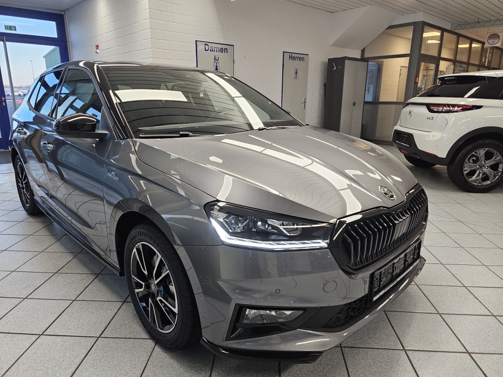 Skoda Fabia  bei Hoffmann Automobile in Wolfsburg kaufen und sofort mitnehmen - Bild 29