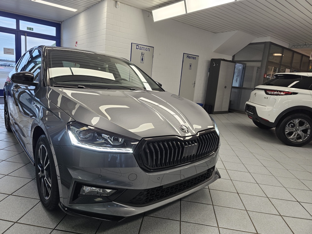 Skoda Fabia  bei Hoffmann Automobile in Wolfsburg kaufen und sofort mitnehmen - Bild 29