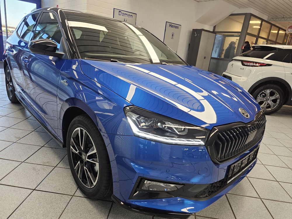 Skoda Fabia  bei Hoffmann Automobile in Wolfsburg kaufen und sofort mitnehmen - Bild 29