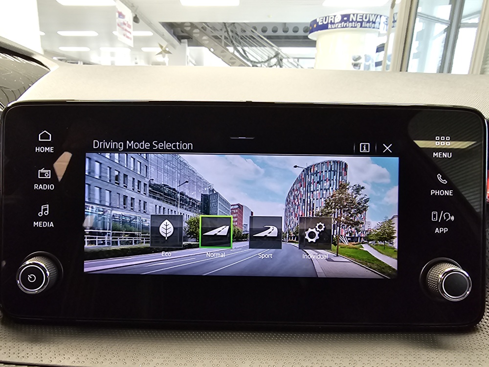 Skoda Fabia  bei Hoffmann Automobile in Wolfsburg kaufen und sofort mitnehmen - Bild 17