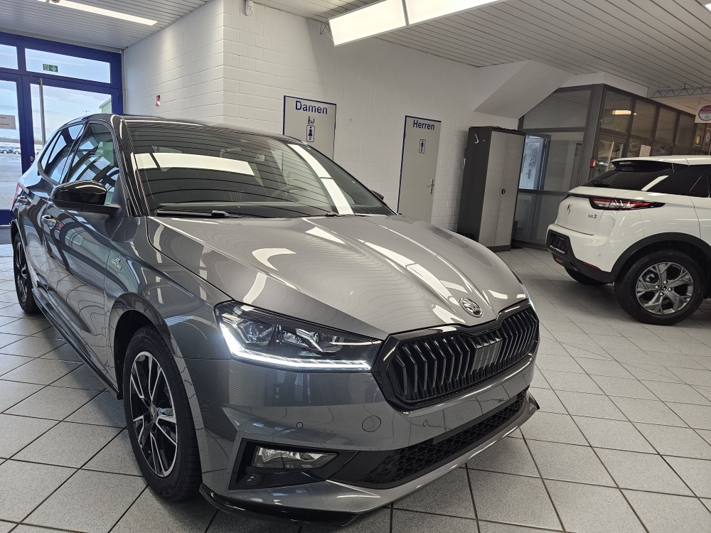 Skoda Fabia  bei Hoffmann Automobile in Wolfsburg kaufen und sofort mitnehmen - Bild 29