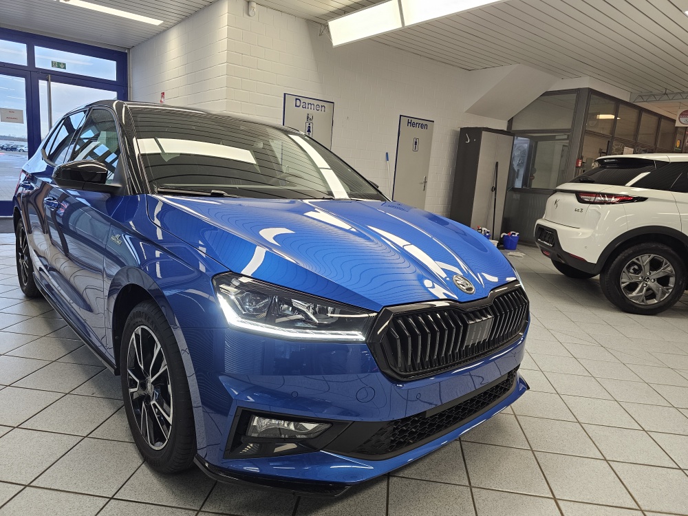 Skoda Fabia  bei Hoffmann Automobile in Wolfsburg kaufen und sofort mitnehmen - Bild 29