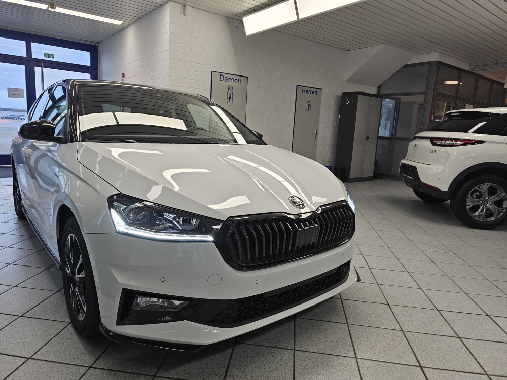 Skoda Fabia  bei Hoffmann Automobile in Wolfsburg kaufen und sofort mitnehmen - Bild 29