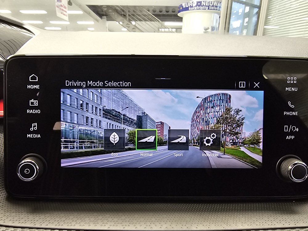 Skoda Fabia  bei Hoffmann Automobile in Wolfsburg kaufen und sofort mitnehmen - Bild 17