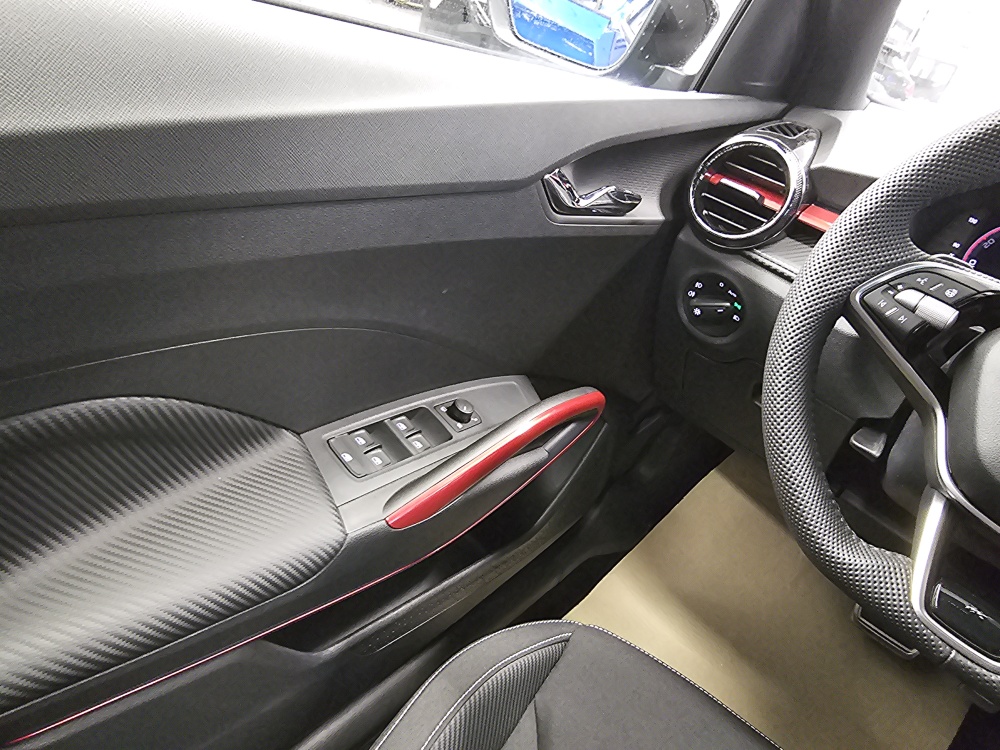 Skoda Fabia  bei Hoffmann Automobile in Wolfsburg kaufen und sofort mitnehmen - Bild 20