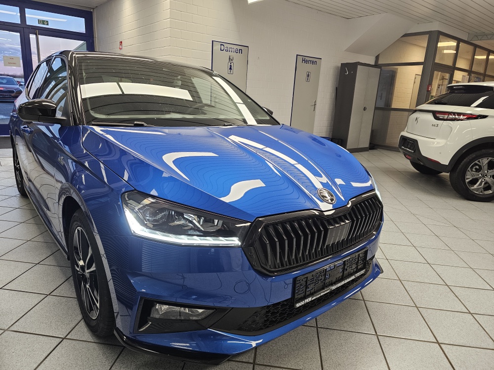 Skoda Fabia  bei Hoffmann Automobile in Wolfsburg kaufen und sofort mitnehmen - Bild 29