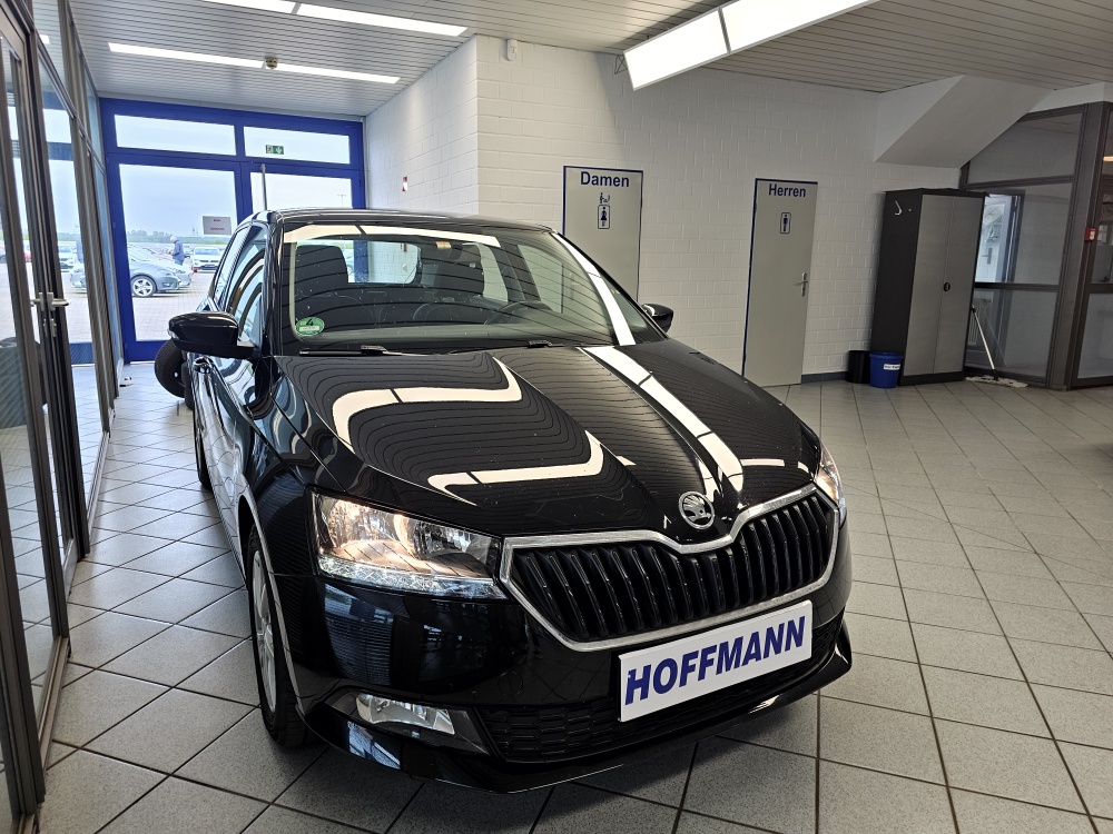 Skoda Fabia  bei Hoffmann Automobile in Wolfsburg kaufen und sofort mitnehmen - Bild 18
