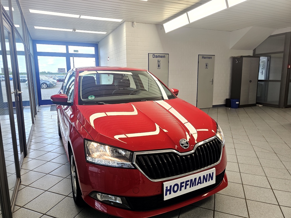 Skoda Fabia  bei Hoffmann Automobile in Wolfsburg kaufen und sofort mitnehmen - Bild 16