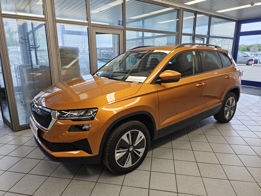 Skoda Karoq  bei Hoffmann Automobile in Wolfsburg kaufen und sofort mitnehmen - Bild 1