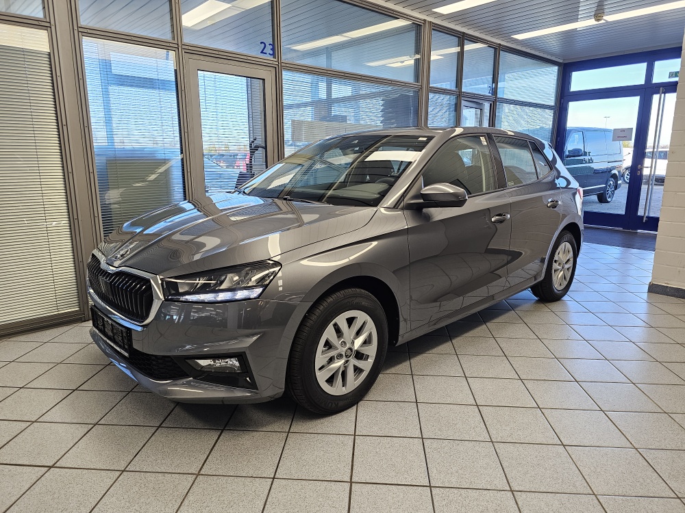 Skoda Fabia Selection für nur 19.650,- € bei Hoffmann Automobile in Wolfsburg kaufen und sofort mitnehmen