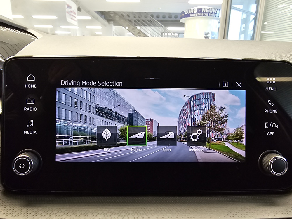 Skoda Fabia  bei Hoffmann Automobile in Wolfsburg kaufen und sofort mitnehmen - Bild 17