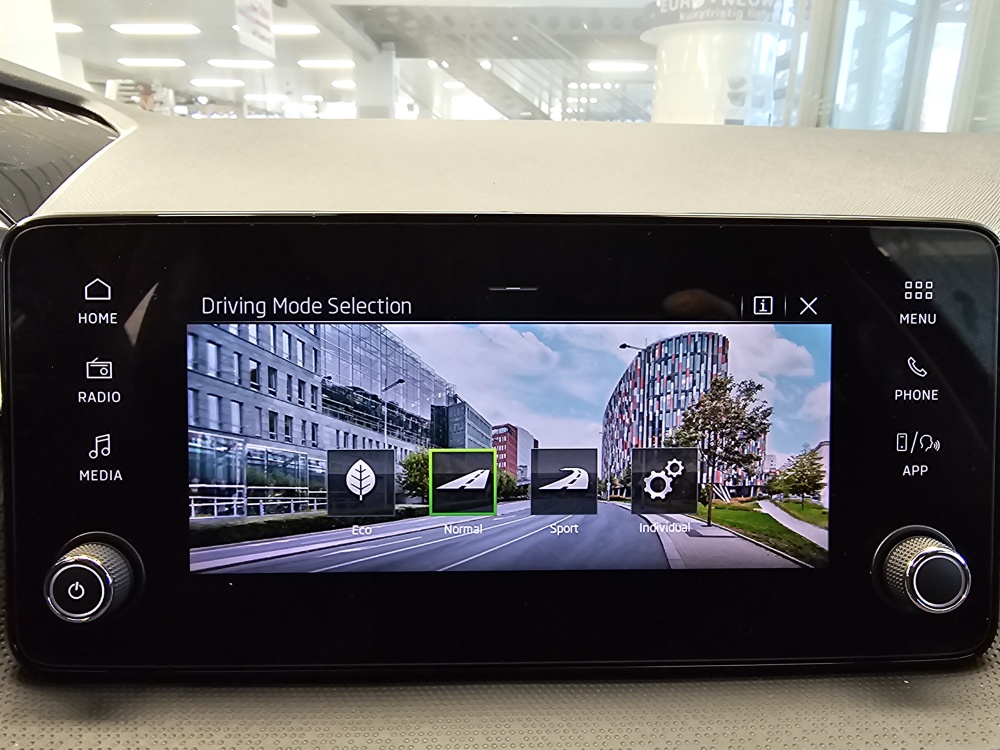 Skoda Fabia  bei Hoffmann Automobile in Wolfsburg kaufen und sofort mitnehmen - Bild 17