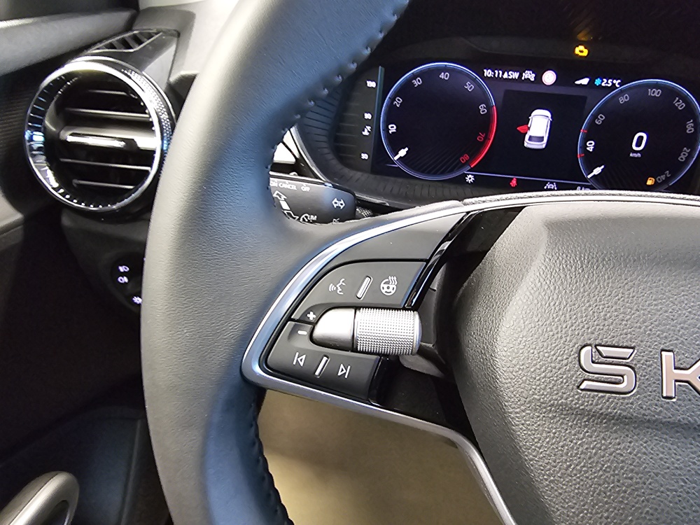 Skoda Fabia  bei Hoffmann Automobile in Wolfsburg kaufen und sofort mitnehmen - Bild 19