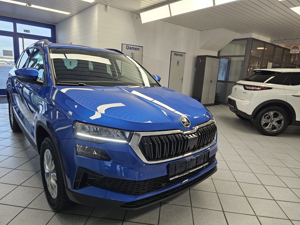 Skoda Karoq  bei Hoffmann Automobile in Wolfsburg kaufen und sofort mitnehmen - Bild 29