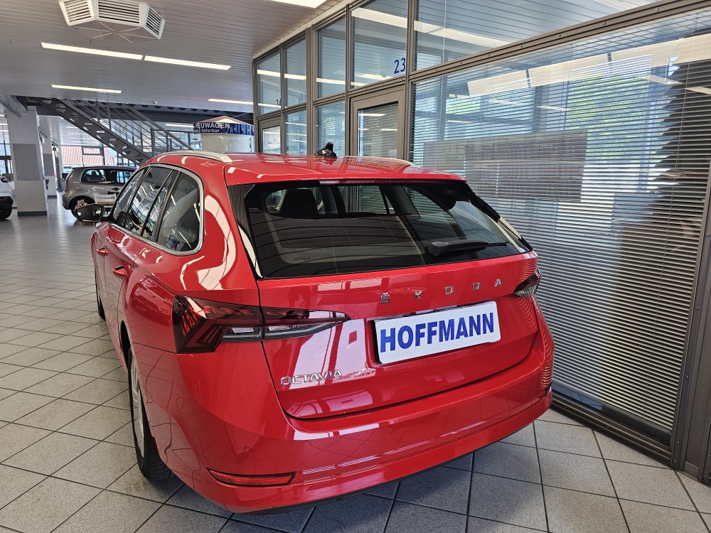 Skoda Octavia Combi  bei Hoffmann Automobile in Wolfsburg kaufen und sofort mitnehmen - Bild 5