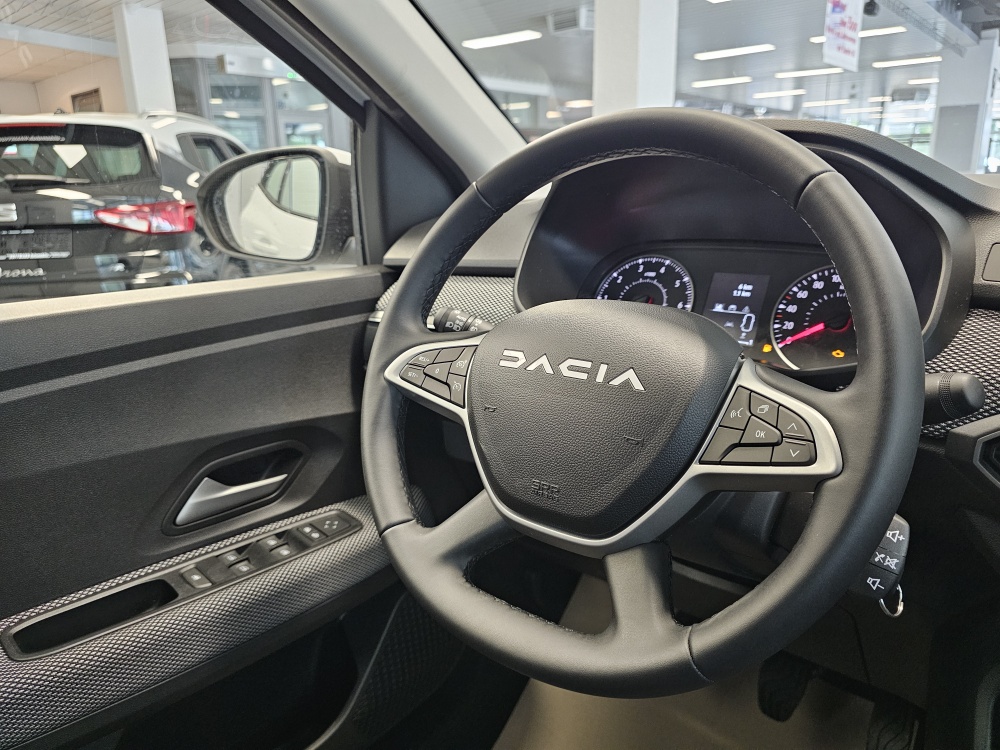 Dacia Sandero  bei Hoffmann Automobile in Wolfsburg kaufen und sofort mitnehmen - Bild 10
