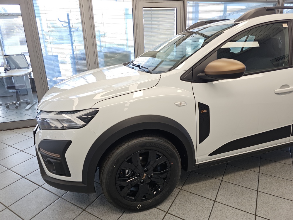 Dacia Sandero  bei Hoffmann Automobile in Wolfsburg kaufen und sofort mitnehmen - Bild 15