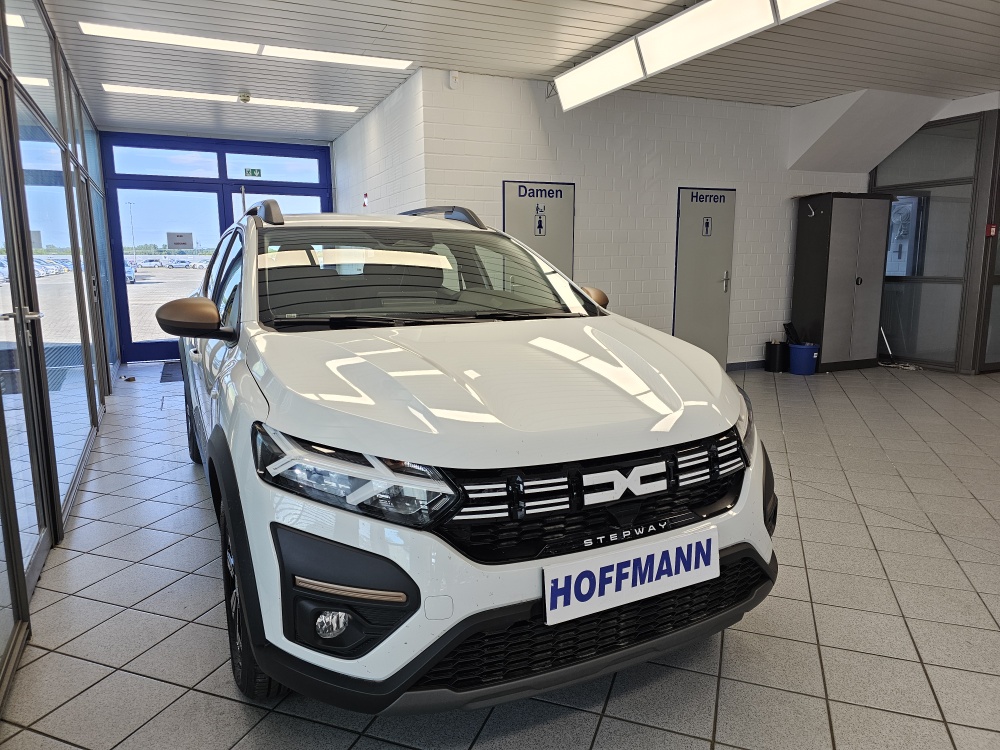Dacia Sandero  bei Hoffmann Automobile in Wolfsburg kaufen und sofort mitnehmen - Bild 17