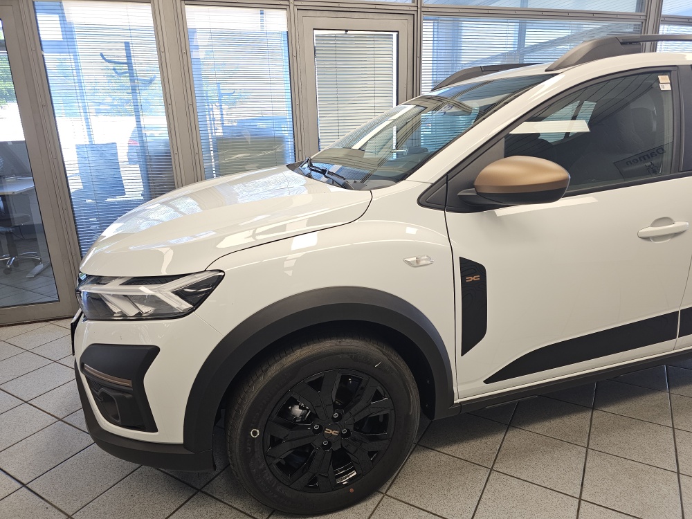 Dacia Sandero  bei Hoffmann Automobile in Wolfsburg kaufen und sofort mitnehmen - Bild 14