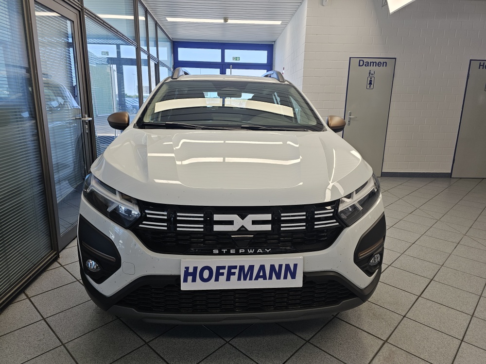 Dacia Sandero  bei Hoffmann Automobile in Wolfsburg kaufen und sofort mitnehmen - Bild 15