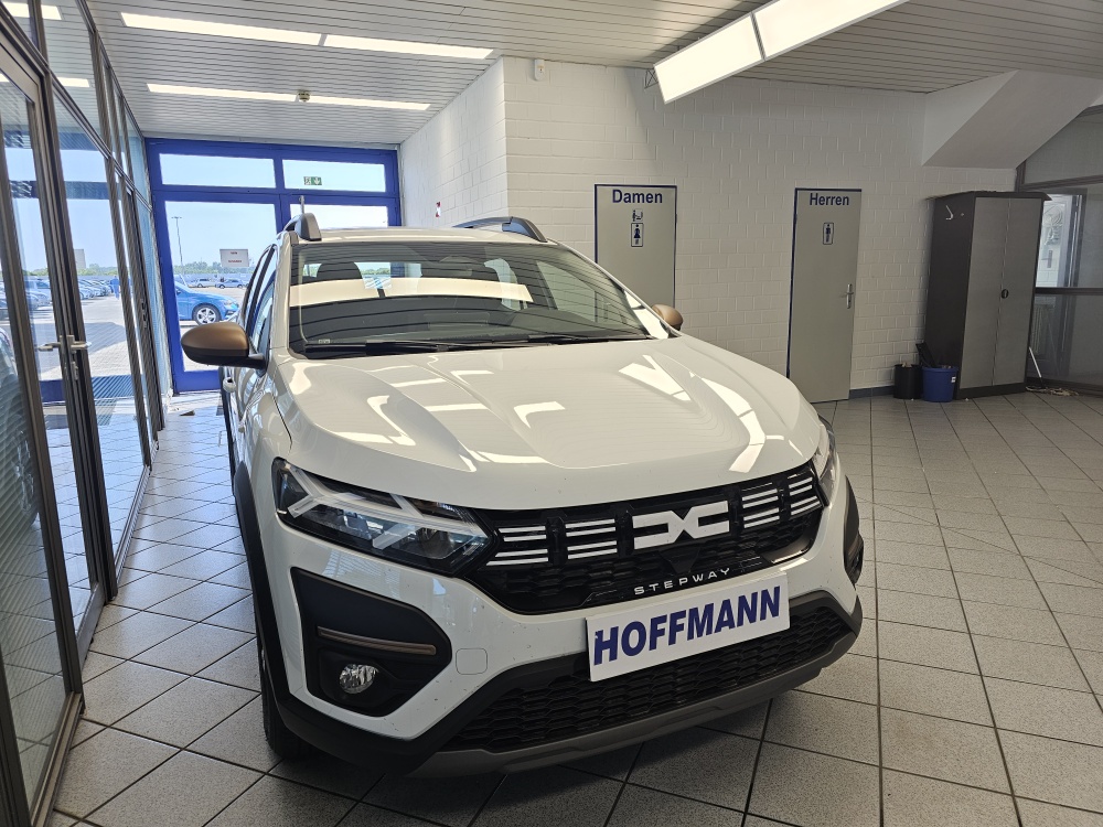 Dacia Sandero  bei Hoffmann Automobile in Wolfsburg kaufen und sofort mitnehmen - Bild 16