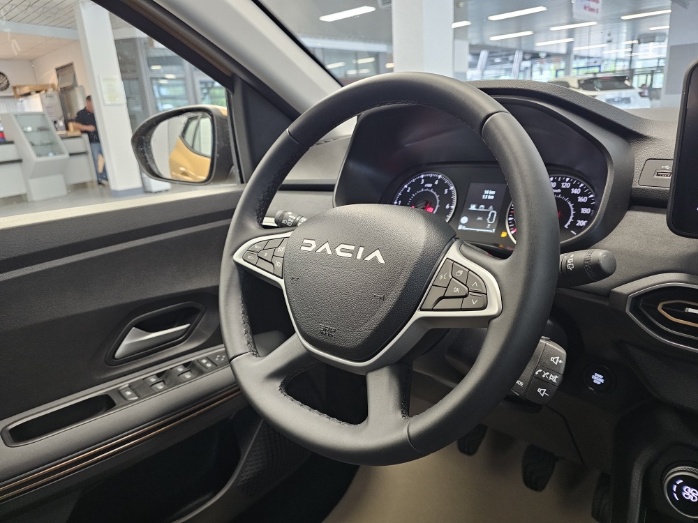 Dacia Sandero  bei Hoffmann Automobile in Wolfsburg kaufen und sofort mitnehmen - Bild 10