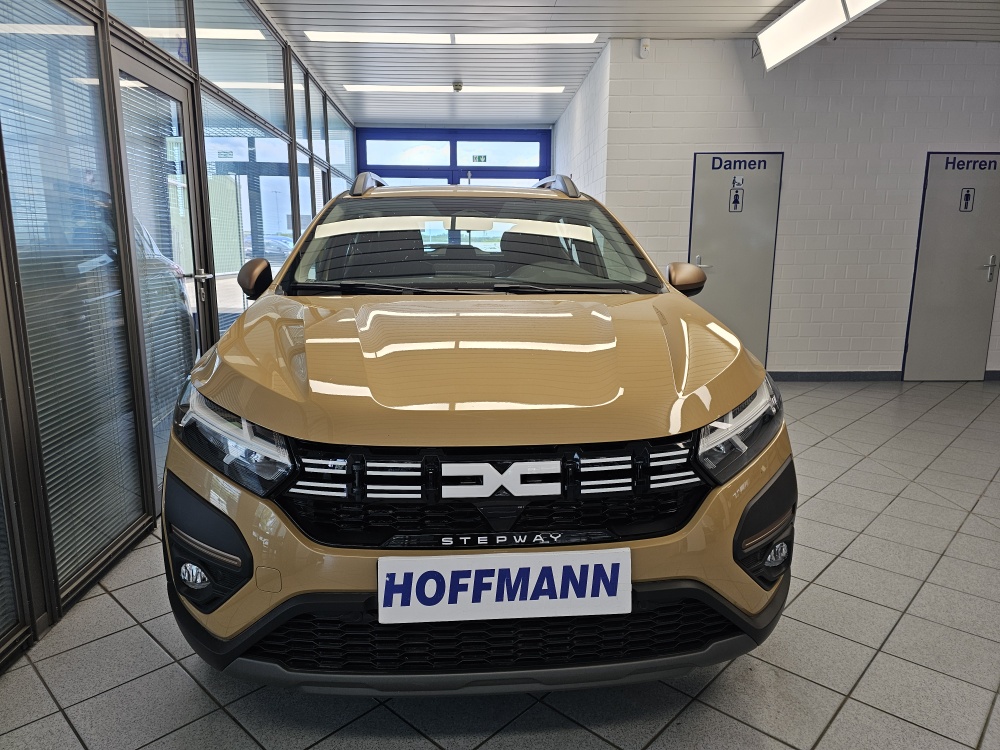 Dacia Sandero  bei Hoffmann Automobile in Wolfsburg kaufen und sofort mitnehmen - Bild 17