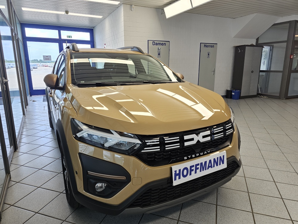 Dacia Sandero  bei Hoffmann Automobile in Wolfsburg kaufen und sofort mitnehmen - Bild 18