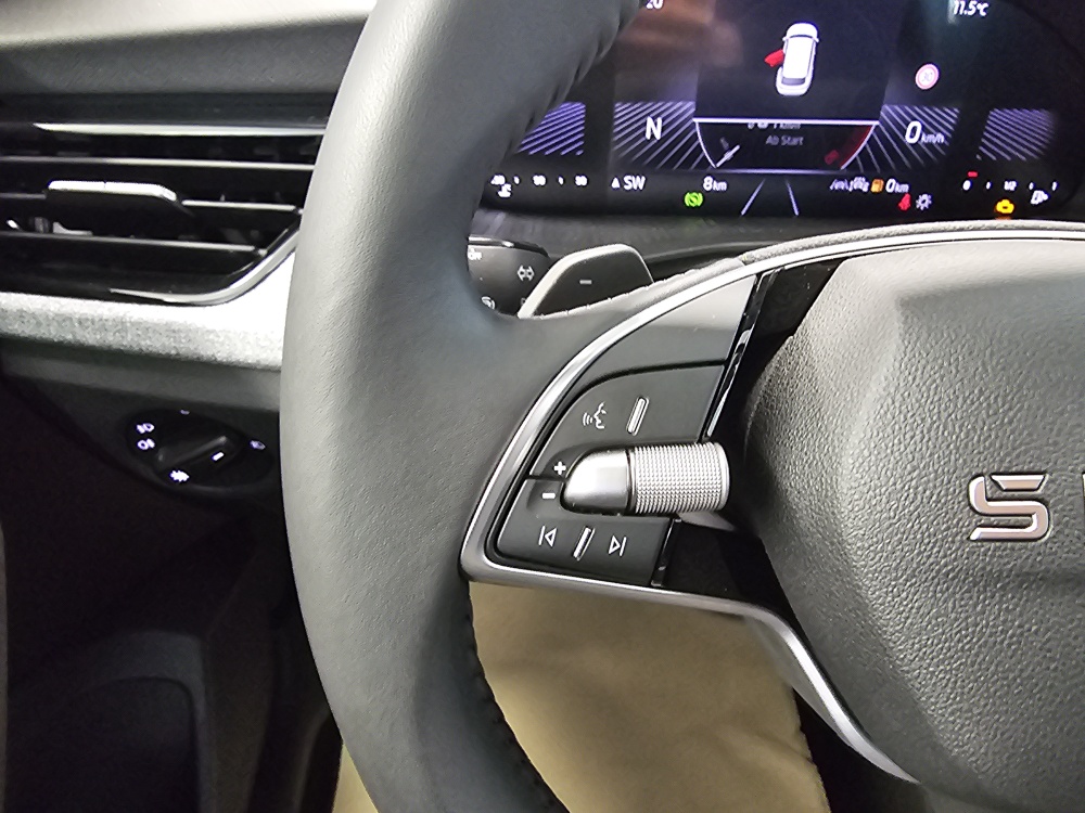 Skoda Kamiq bei Hoffmann Automobile in Wolfsburg kaufen und sofort mitnehmen - Bild 19