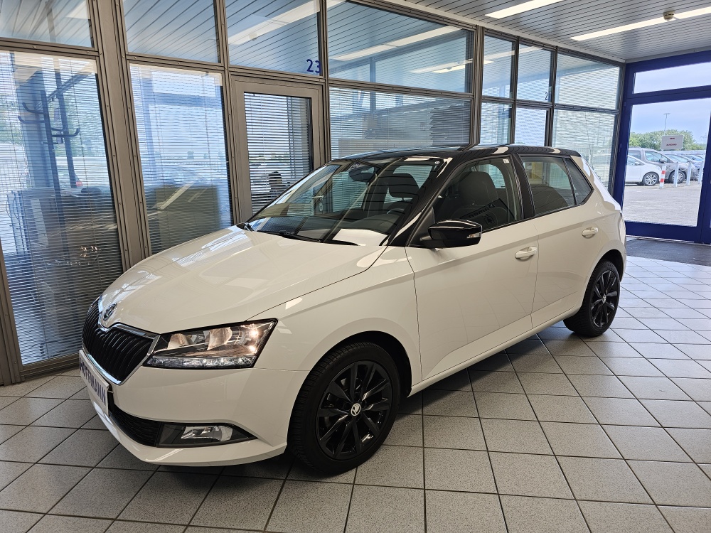 Skoda Fabia Style für nur 14.200,- € bei Hoffmann Automobile in Wolfsburg kaufen und sofort mitnehmen