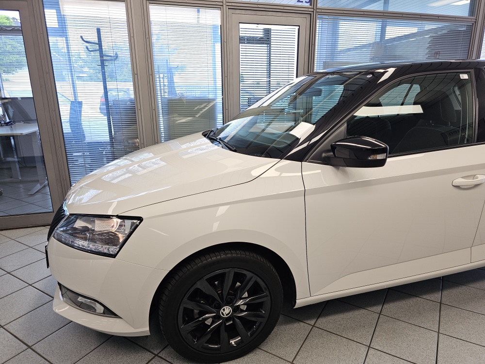 Skoda Fabia  bei Hoffmann Automobile in Wolfsburg kaufen und sofort mitnehmen - Bild 15