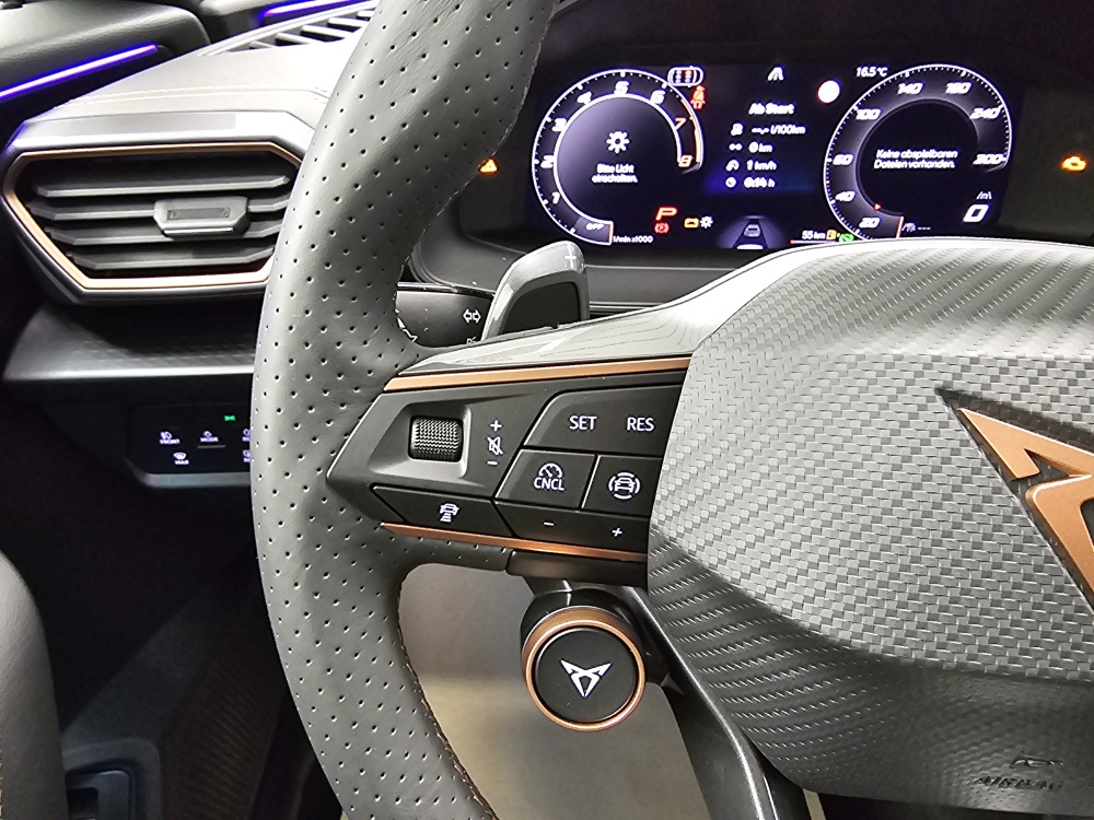 Cupra Formentor  bei Hoffmann Automobile in Wolfsburg kaufen und sofort mitnehmen - Bild 28